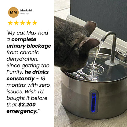 Protect your cat from dehydration and urinary emergencies with PurrCleaner