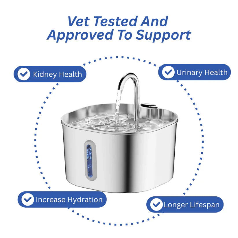 Protect your cat from dehydration and urinary emergencies with PurrCleaner
