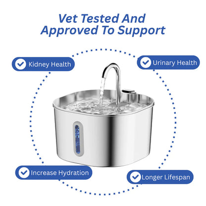 Protect your cat from dehydration and urinary emergencies with PurrCleaner