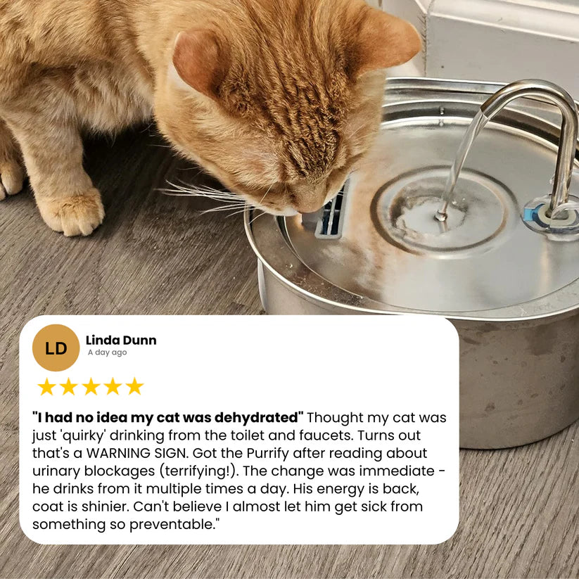 Protect your cat from dehydration and urinary emergencies with PurrCleaner