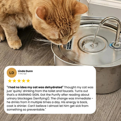 Protect your cat from dehydration and urinary emergencies with PurrCleaner