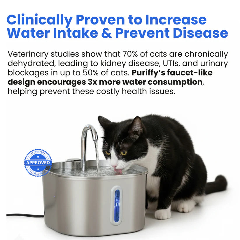 Protect your cat from dehydration and urinary emergencies with PurrCleaner