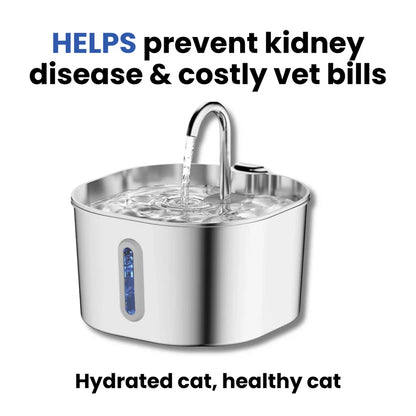 Protect your cat from dehydration and urinary emergencies with PurrCleaner